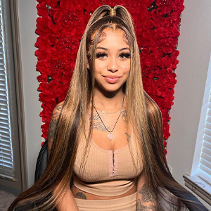Highlight Straight HD 13x4 Ombre Honey Blonde  With Dark Roots Pre-Cut Lace Front Wig